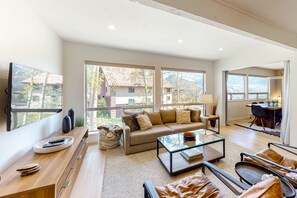 电视、壁炉、DVD 播放器