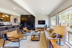 电视、壁炉、DVD 播放器