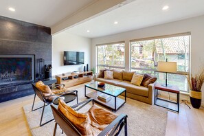 Televisión, chimenea y reproductor de DVD 