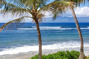 On the beach - Oceanfront condo with lanai, central AC, W/D, pool, hot tub & beach access (Lahaina)