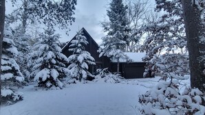 Lumipeitteinen mökki, jonka katto on jyrkkä, ja jonka ympärillä kasvaa tiheästi ikivihreitä puita.