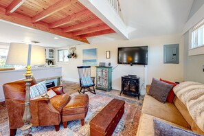 TV, fireplace, video games, books