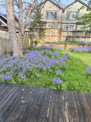 Property grounds - Cute 2/2 beach cottage. Pet friendly backyard. 5 min walk to beach. (Seaside)