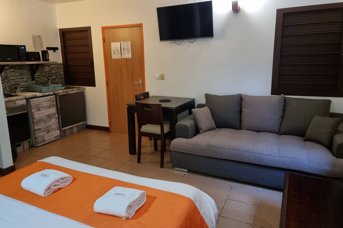 Una habitación de hotel con cama, sofá, una mesita, televisión, kitchenette y puerta.