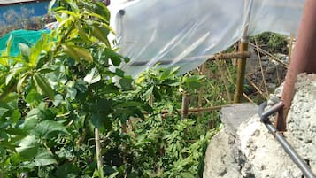 外观细节