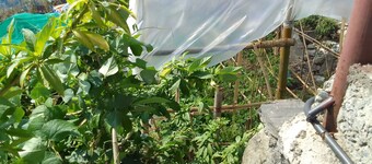 Beautiful Lakeview rooms just 10 min by taxi from mainroad