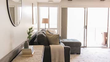 Smart TV, fireplace, books