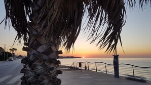 A palm tree in the foreground with a sunset in the background. - Air-conditioned villa - Sea m. 300 (beach) between NOTO-AVOLA (Sr)  (Avola)