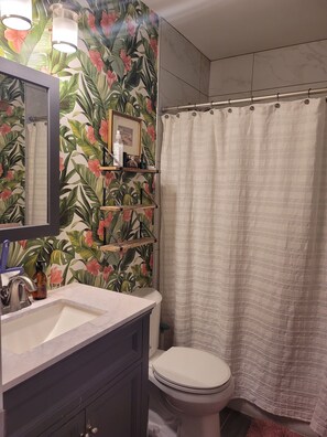 Ensemble baignoire-douche, séchoir à cheveux, serviettes fournies, savon