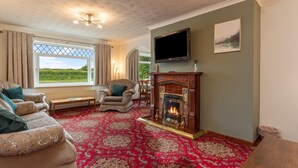 A living room with a fireplace, a television, and a large window with curtains. - Trefelyn Cottage in Saundersfoot (Saundersfoot)