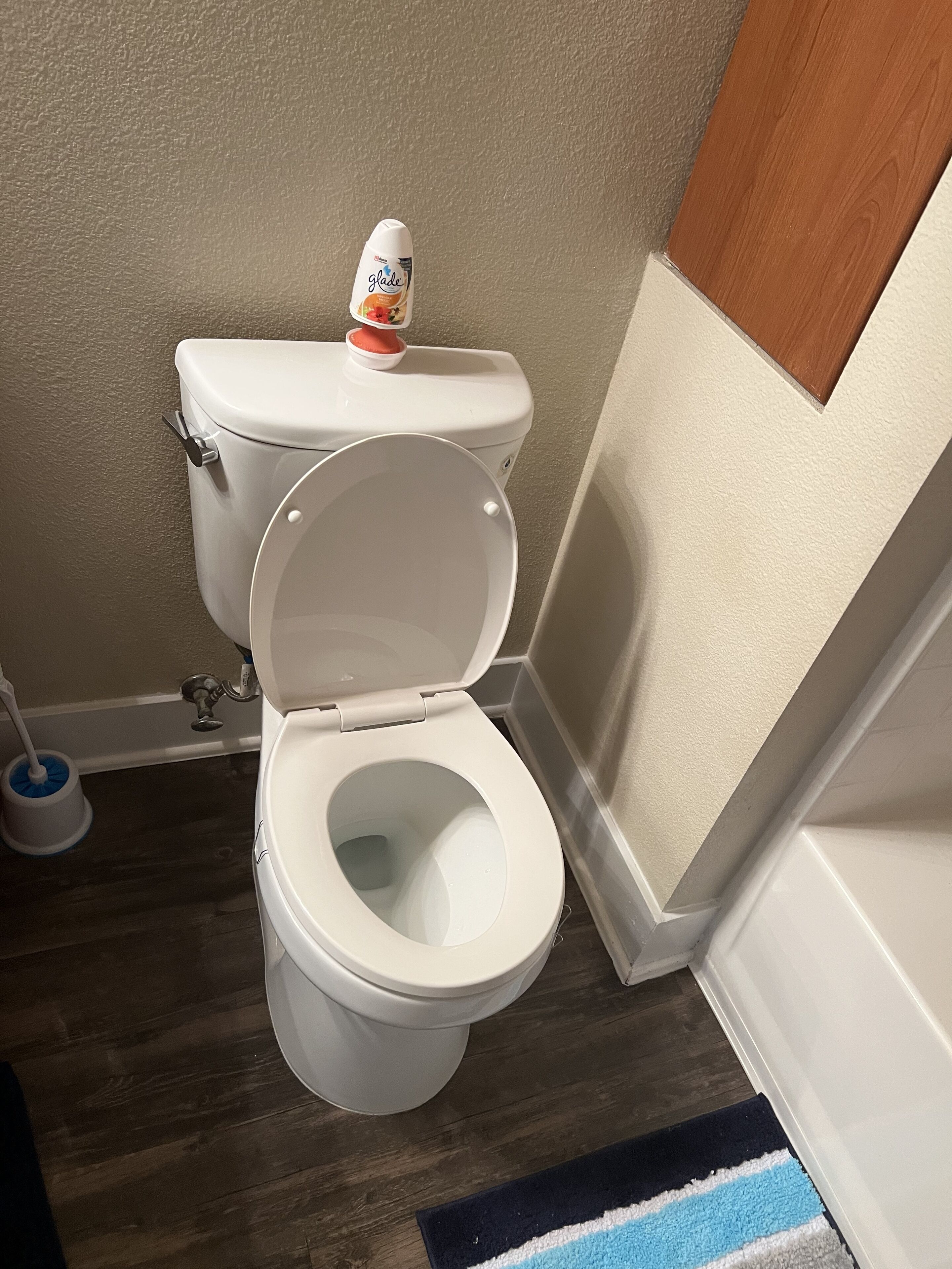 A white toilet with a lid, a toilet brush, and a toilet paper holder with a tissue box.