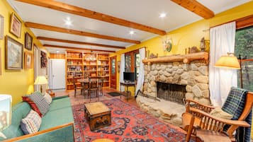 TV, fireplace, books