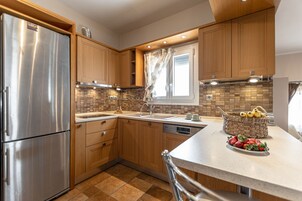 Superior Διαμέρισμα | Ιδιωτική κουζίνα | Μίνι ψυγείο, φούρνος μικροκυμάτων, φούρνος, μαγειρικές εστίες