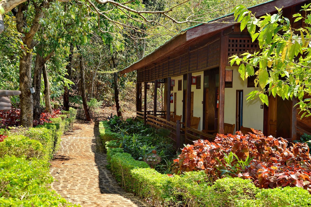 Pemandangan dari kamar