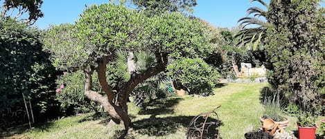 Overnattingsstedets uteområder