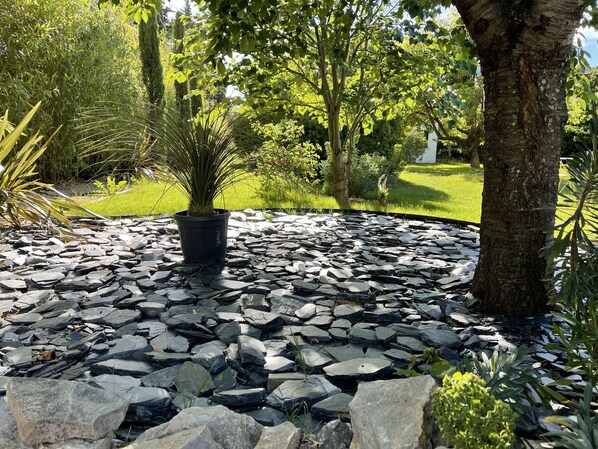 صورة غير مصنفة، 1 من 21، زرّ