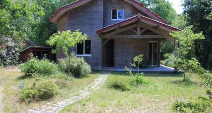 Maison en bois entre forĂȘt et lac