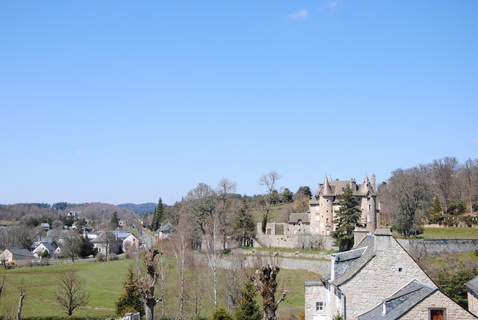 Eine Burg mit einem Steinturm, umgeben von einem Burggraben und Bäumen.