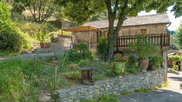 Una casa de piedra rústica con un porche de madera, rodeada de abundante vegetación y plantas con flores.