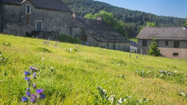 Un bâtiment en pierre doté d’un toit en pente, entouré de champs verdoyants et bordé, au loin, par une colline boisée.