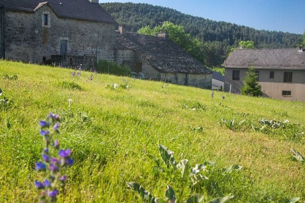 Área da propriedade