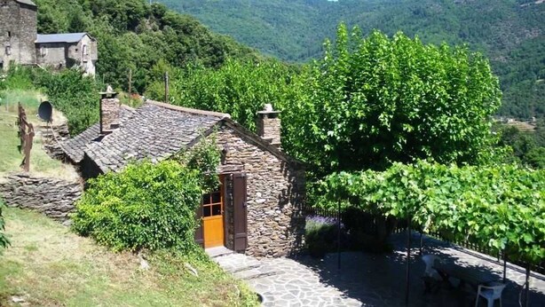 Un edificio de piedra con techo de tejas, rodeado de abundante vegetación y un viñedo.
