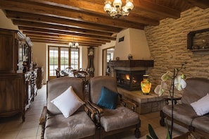 Télévision, cheminée, lecteur de DVD, livres