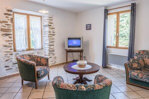 TV, fireplace, books