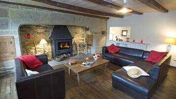 Télévision, cheminée, lecteur de DVD