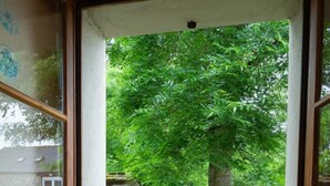 A room with a large window revealing a grassy outdoor area with a tree and a stone bench.