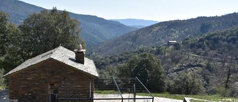 Vista desde la propiedad