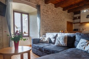 Télévision, cheminée, table de tennis de table, livres