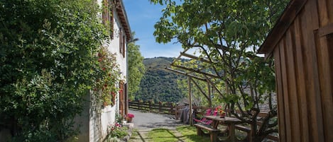 テラス / パティオ