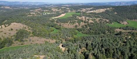 An aerial view of a rural landscape with dense forests, open fields, and rolling hills.