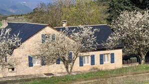 Un bâtiment en pierre avec un toit en pente, de nombreuses fenêtres et un arbre devant.