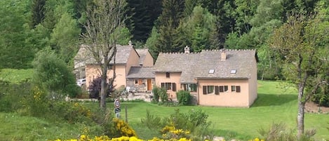 Une propriété rurale comprenant plusieurs bâtiments, entourée d’une végétation luxuriante et de fleurs jaunes.