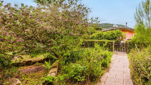 Un chemin de jardin menant à une maison sur le toit de laquelle est installée une antenne parabolique.