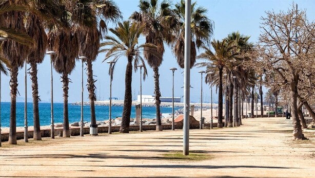 A coastal promenade with palm trees, a sandy path, and a view of the sea.