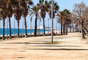 Un paseo marítimo costero con palmeras, un sendero de arena y vista al mar.