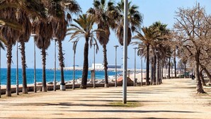 A coastal promenade with palm trees, a sandy path, and a view of the sea. - Villa 'Berganti' with Private Pool, Wi-Fi, and Air Conditioning (Canet de Mar)