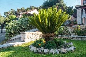 A garden with a palm-like plant, a stone wall, and a building in the background.