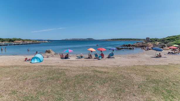 A beach with people, tents, and umbrellas.