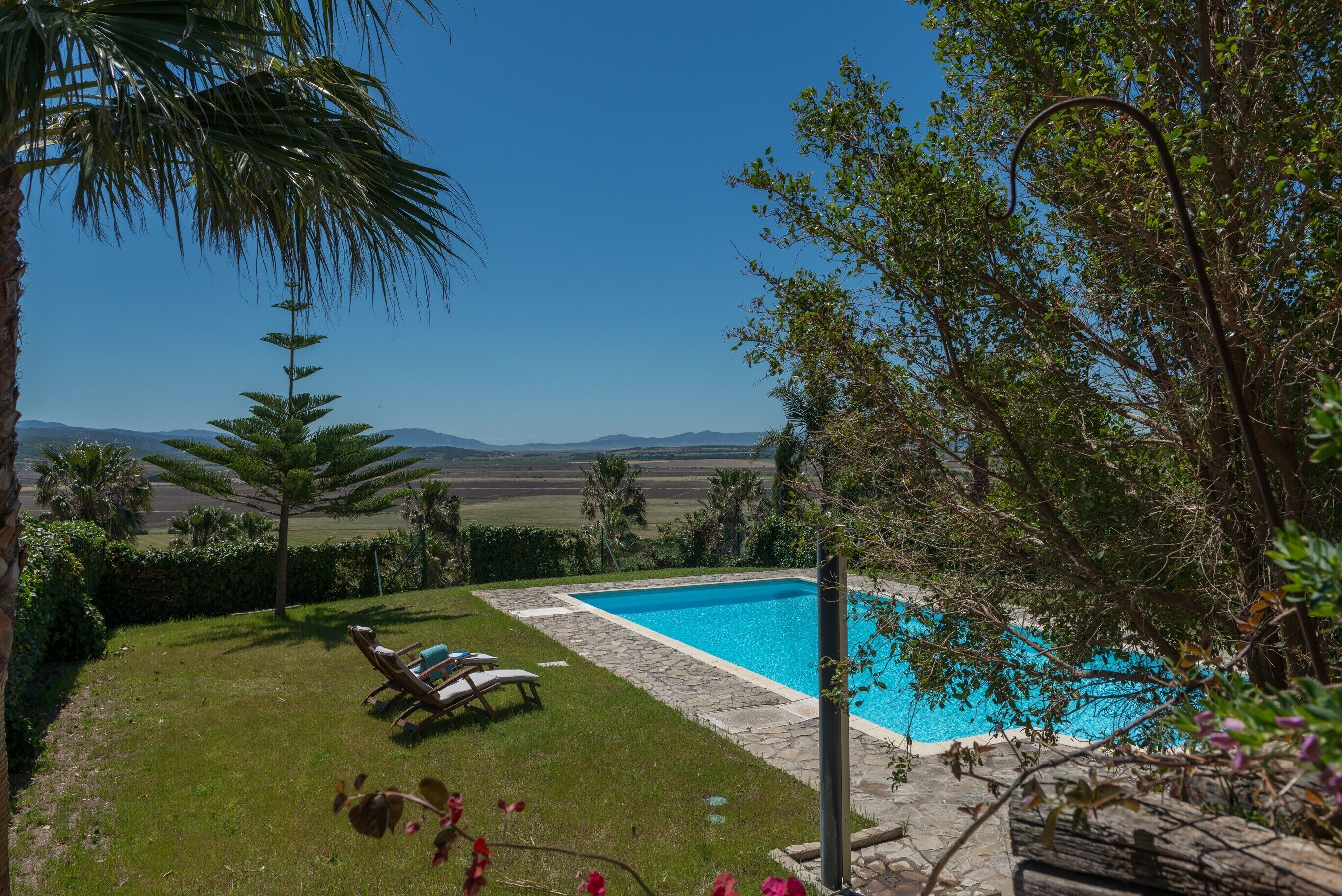 Una piscina con bordes de piedra, rodeada de césped y palmeras.