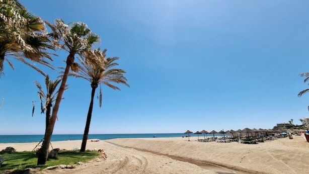 A beach with palm trees, a clear sky, and a sandy path leading to the water. - Luxury Villa with Private Pool, with Sea View, Wi-Fi and Air Conditioning (La Cala de Mijas)
