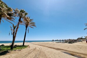 A beach with palm trees, a clear sky, and a sandy path leading to the water.