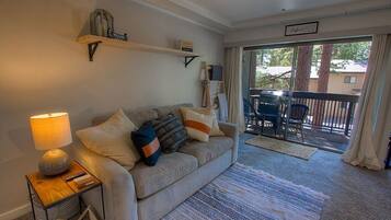 TV, fireplace, books