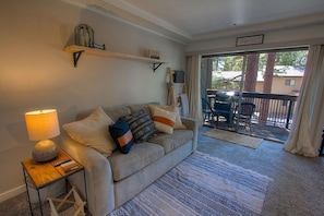 TV, fireplace, books