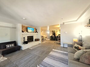 TV, fireplace, books