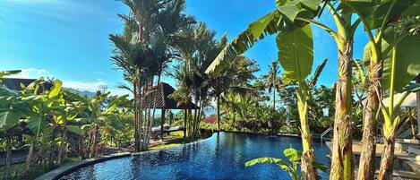 A swimming pool surrounded by lush greenery and palm trees.