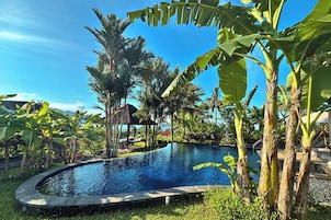 Una piscina rodeada de abundante vegetación y palmeras.